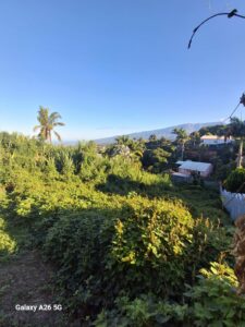 Terrain constructible- Terrain Fleury/La Pointe – Tampon